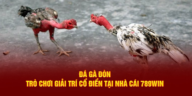 Đá gà đòn