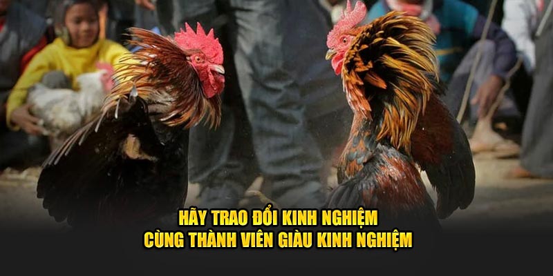 Hãy trao đổi kinh nghiệm cùng thành viên giàu kinh nghiệm