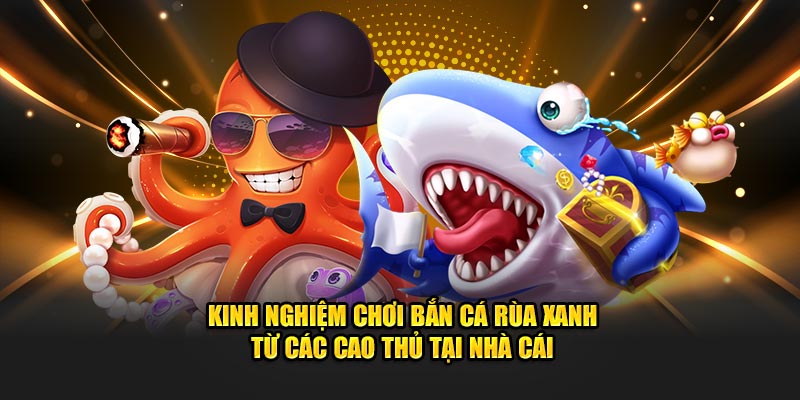 Kinh nghiệm chơi bắn cá rùa xanh từ các cao thủ tại nhà cái