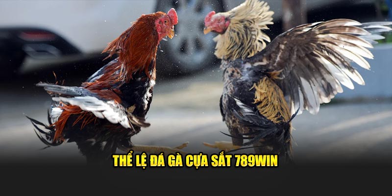 Thể lệ đá gà cựa sắt 789Win