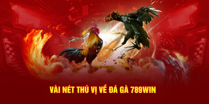 Vài nét thú vị về đá gà 789Win